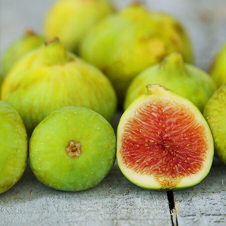 ‘Kadota’ Fig For Sale Online | The Tree Center