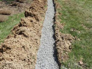 French Drains: Everything You Need to Know | The Tree Center™