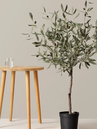 Faux Olive Tree