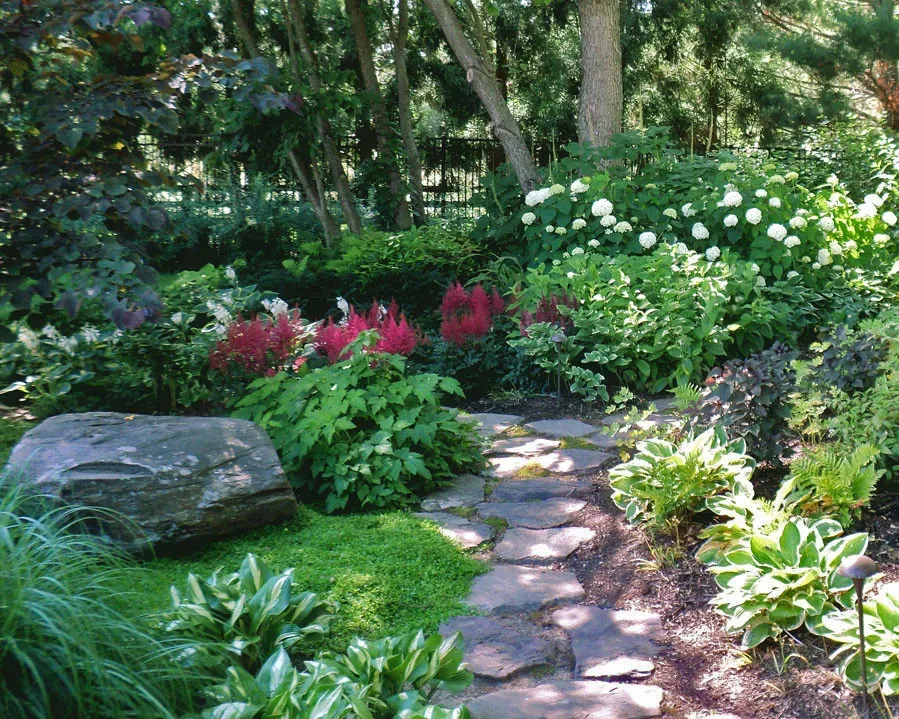 Understanding Shade in the Garden The Tree Center™