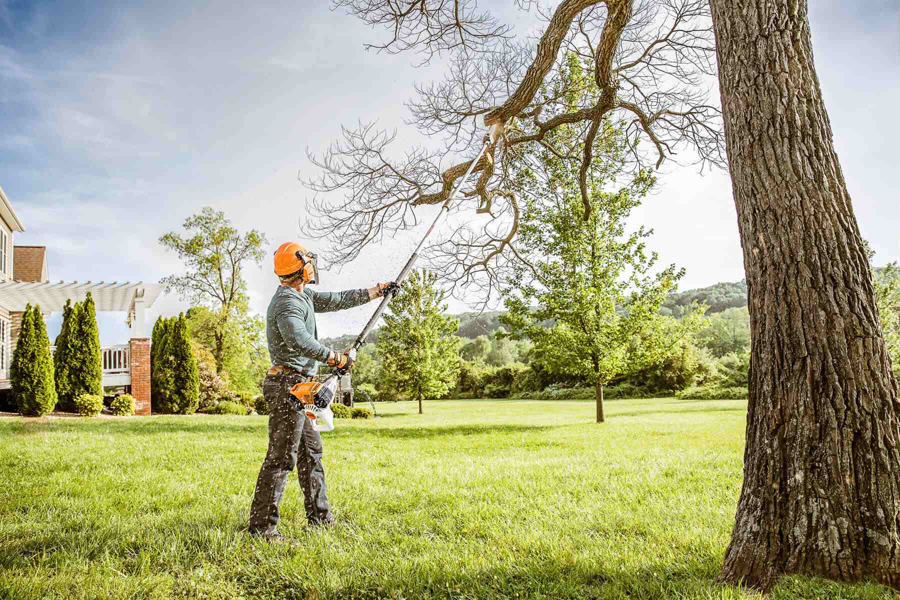True Guardian Tree Services Shrub Pruning