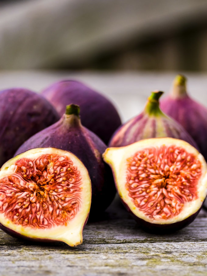 Chicago Hardy Fig Tree For Sale Online | The Tree Center