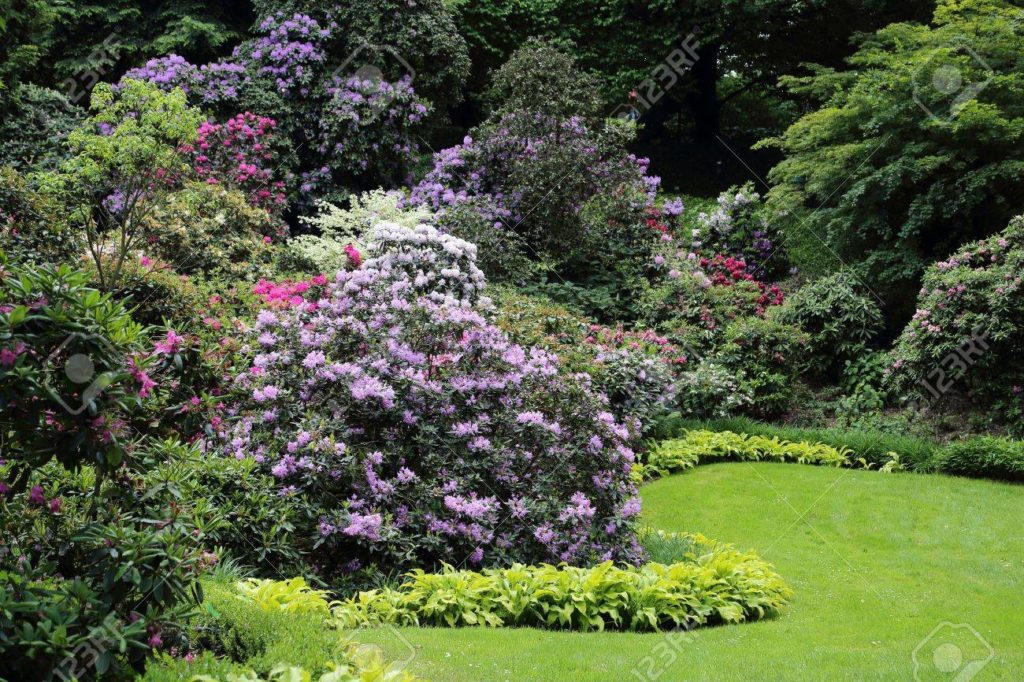 Design Your Garden – Part 2 | The Tree Center™