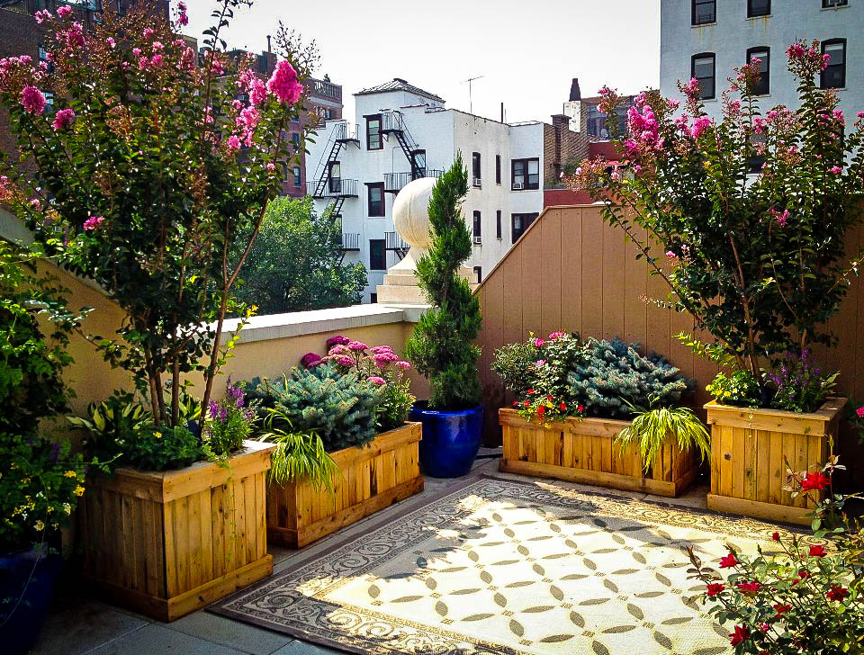 Beautiful tree box planters in Adams Morgan - PoPville