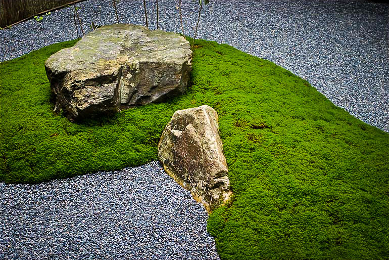 japanese-garden-frm-the-moss