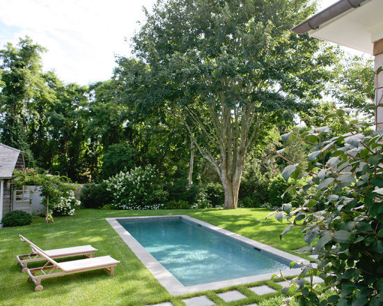 shade-tree-around-pool