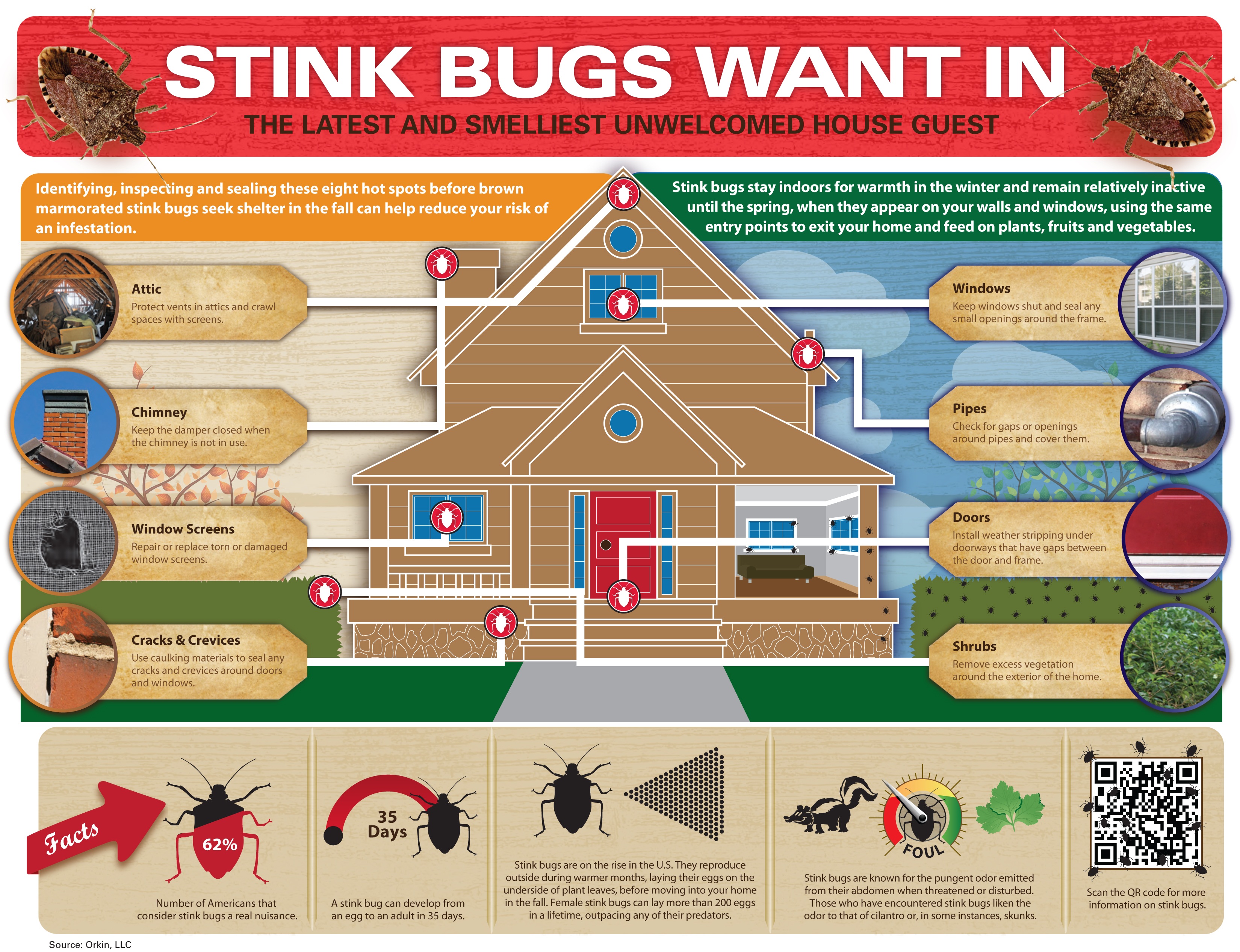 stink-bug-infographic_3300x2534_original
