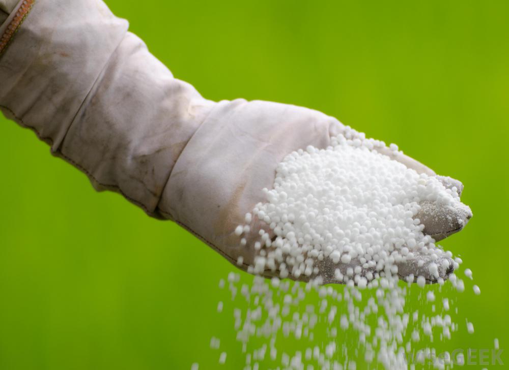 What Is Urea The Tree Center 