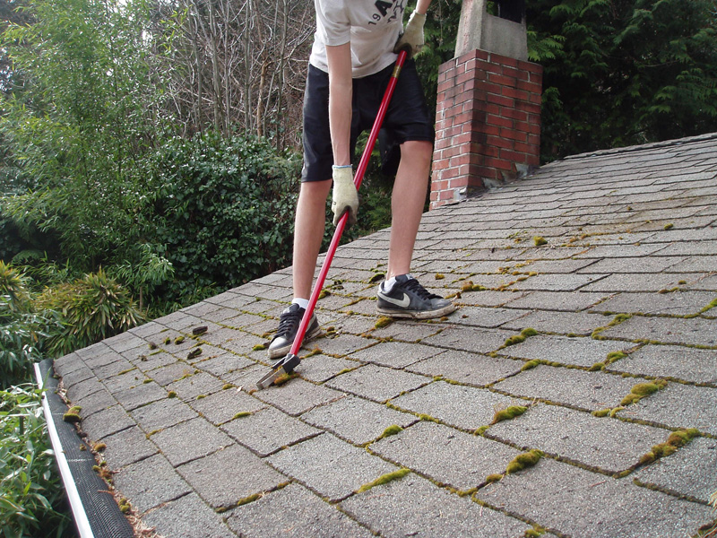 How do you remove moss from a roof?